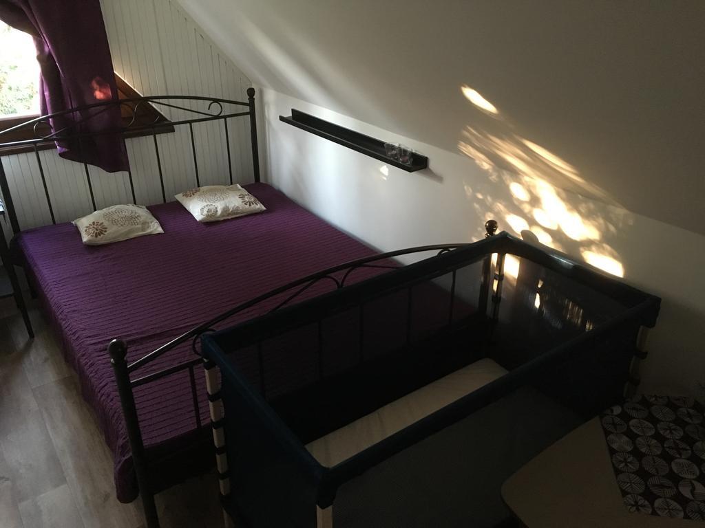 Aranypart Vendeghaz - Tiszakecske Villa Luaran gambar